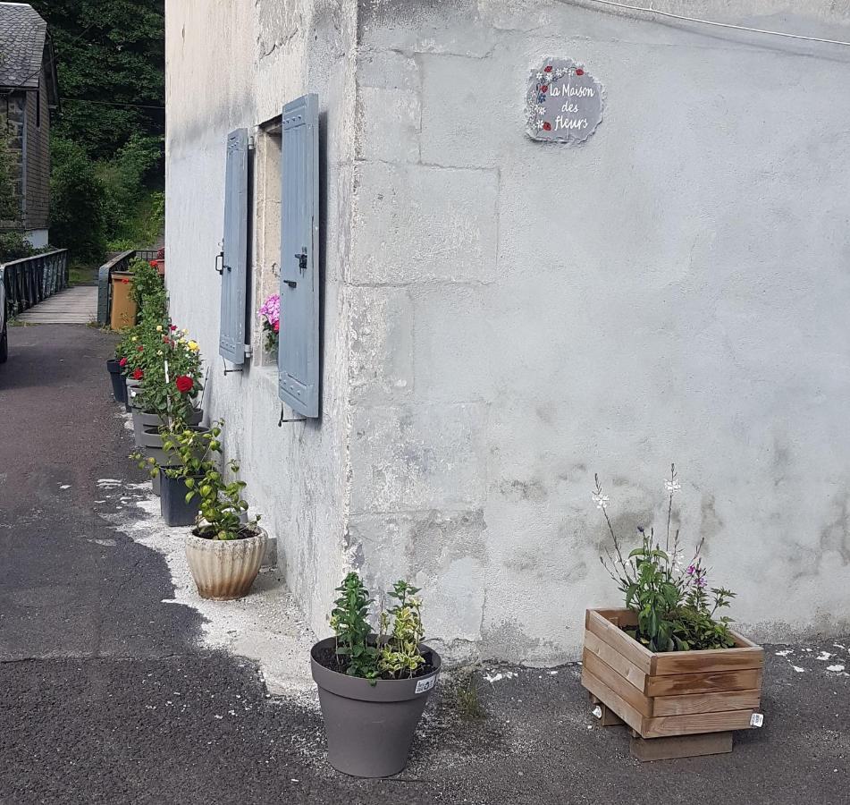 La Maison Des Fleurs Studio Le Mont-Dore Buitenkant foto